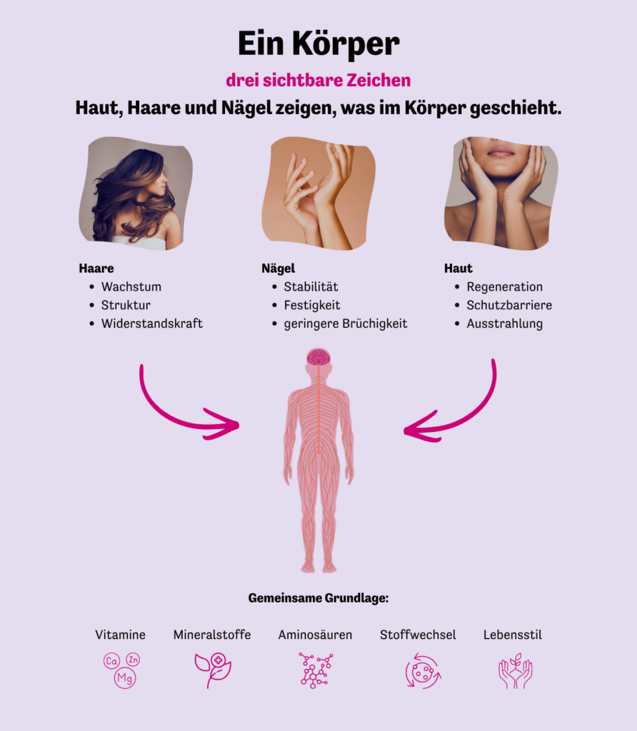 Grafik Haargesundheit Haut Haare Naegel